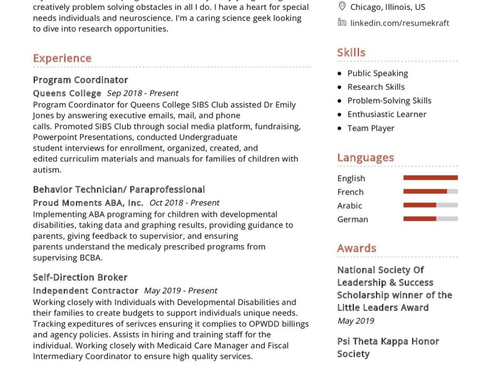 Program Coordinator CV Example In 2024 ResumeKraft   Program Coordinator CV Example 1000x750 