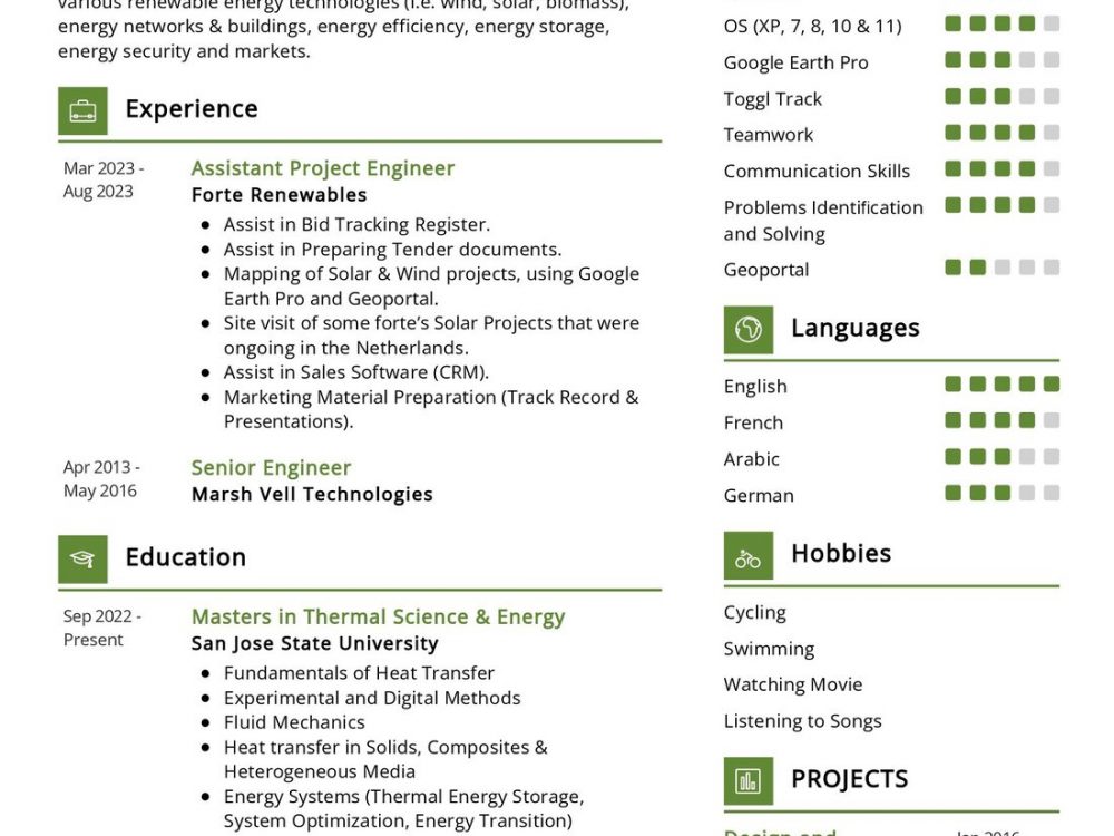 renewable energy project manager resume