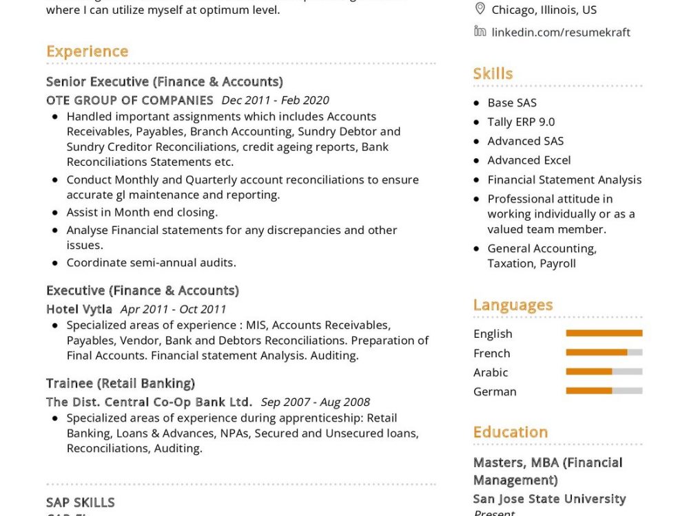 SAP FICO Consultant CV Example