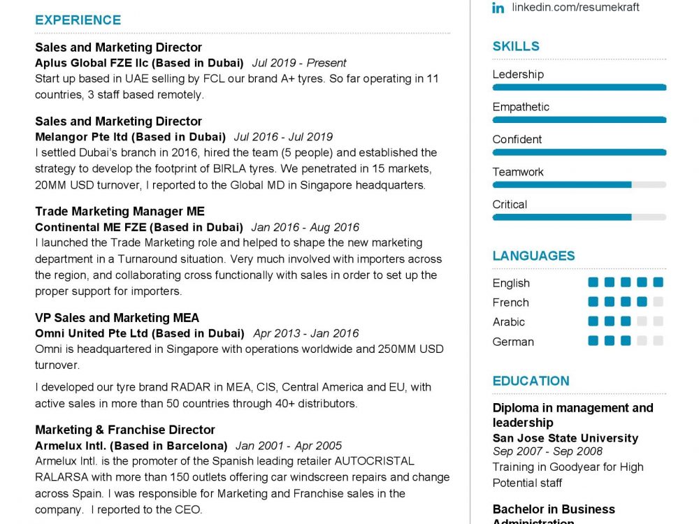 Sales and Marketing Director Resume Sample