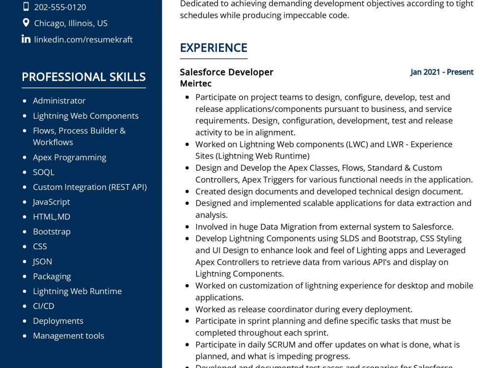 Salesforce Developer Resume Example