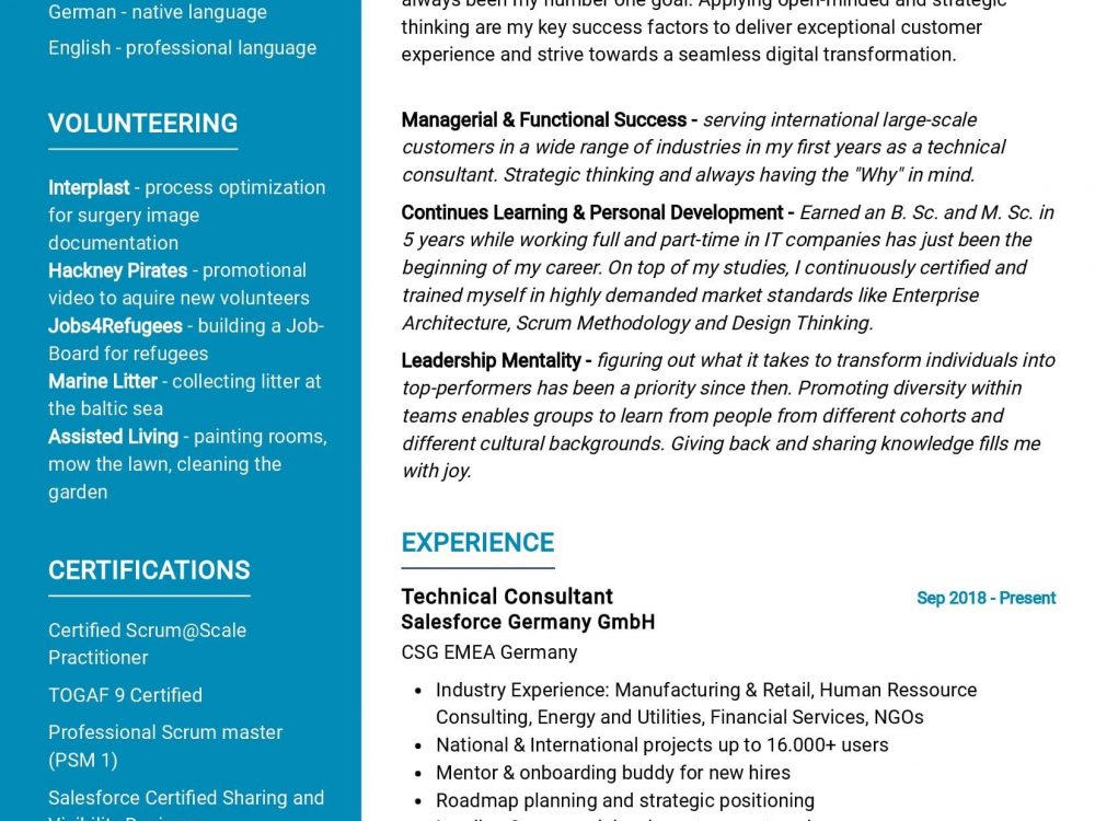 Salesforce Technical Consultant Resume Sample