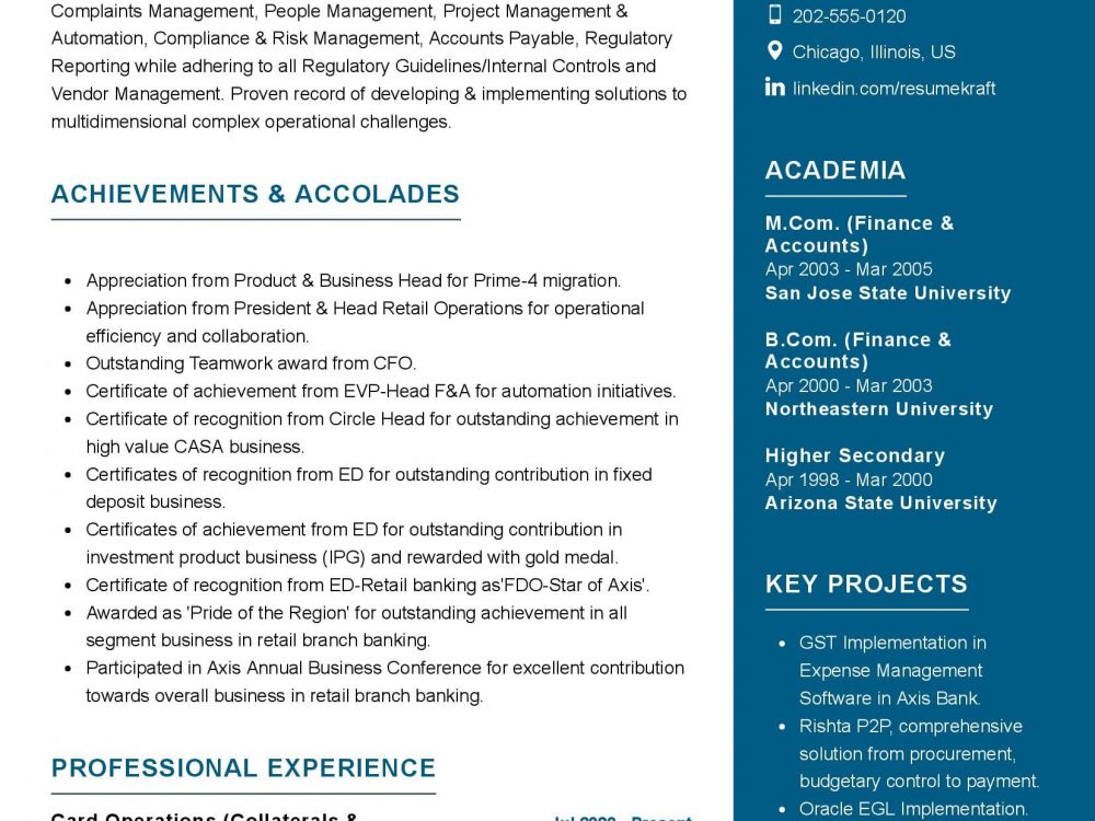 Senior Banking Professional Resume Sample