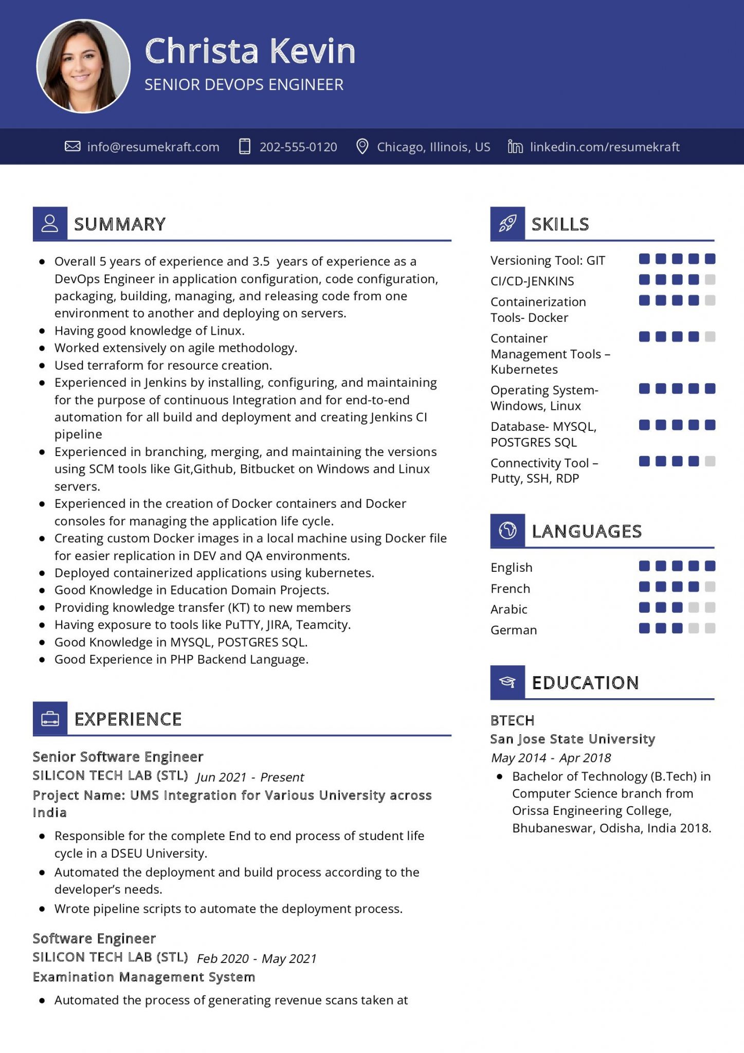 2200+ Professional Resume Samples In 2024 | ResumeKraft