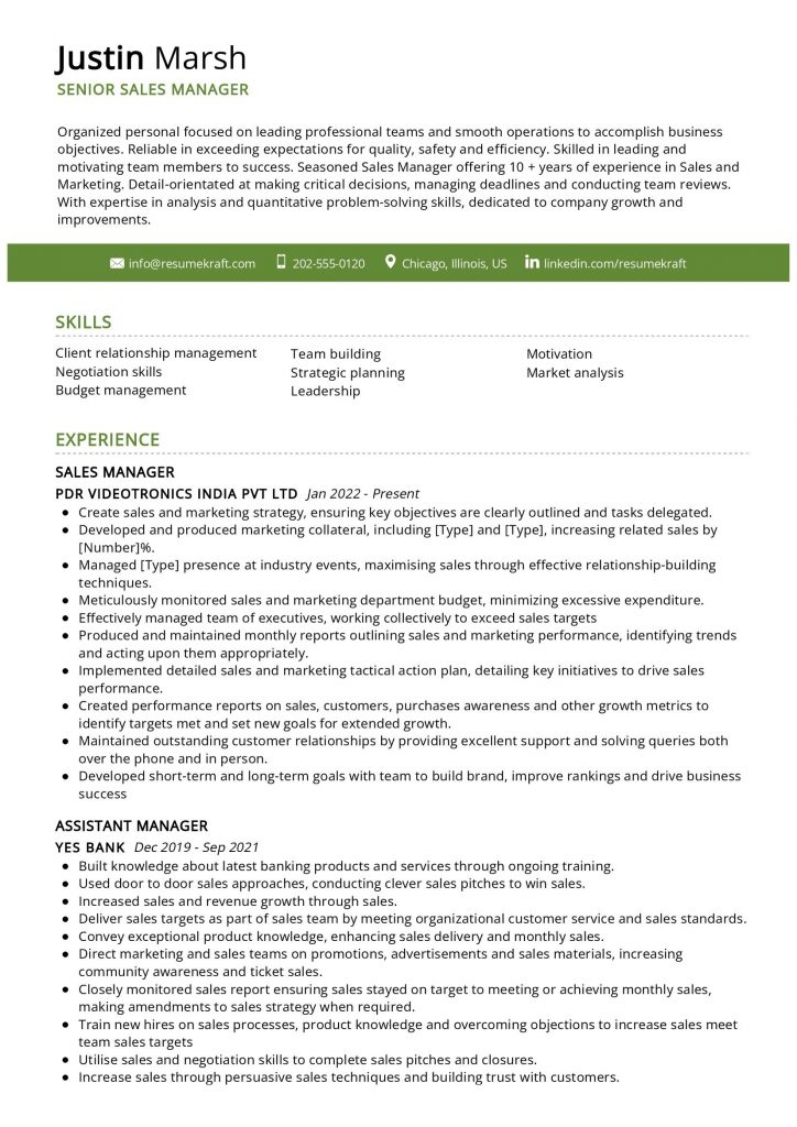 2200 Professional Resume Samples - Senior Sales Manager Resume Sample 724x1024
