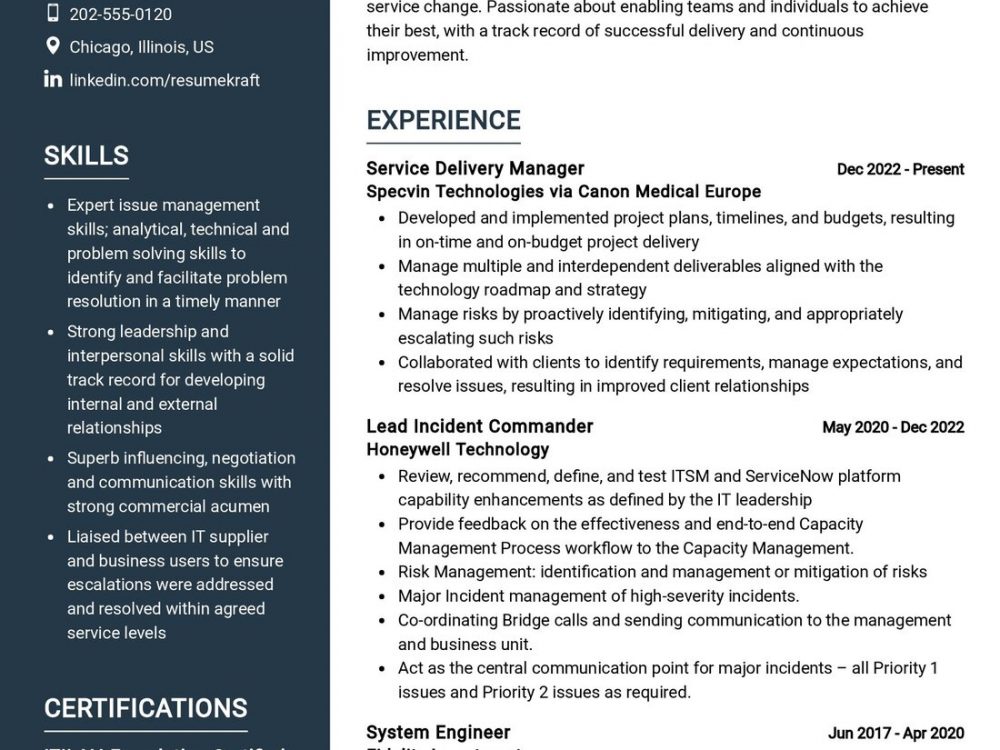best service delivery manager resume