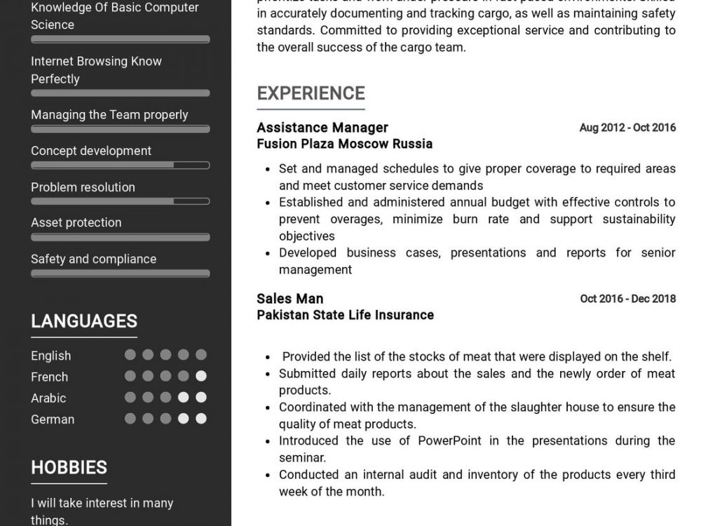 Sky Cargo Porter Resume Example