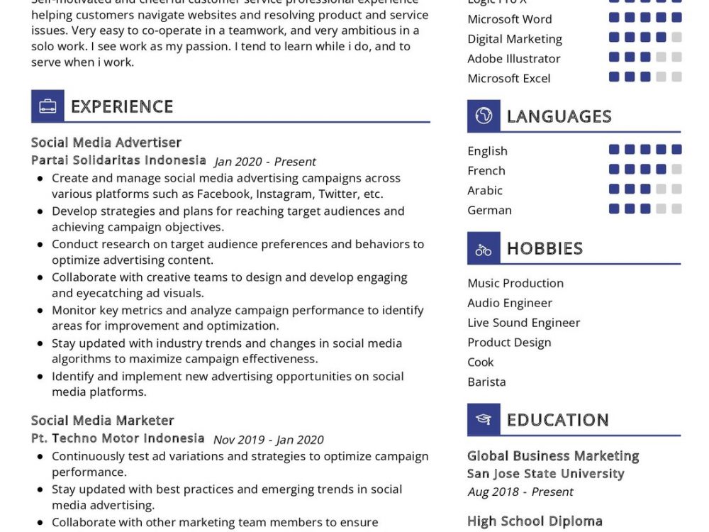 Social Media Advertiser Resume Example in 2024 - ResumeKraft