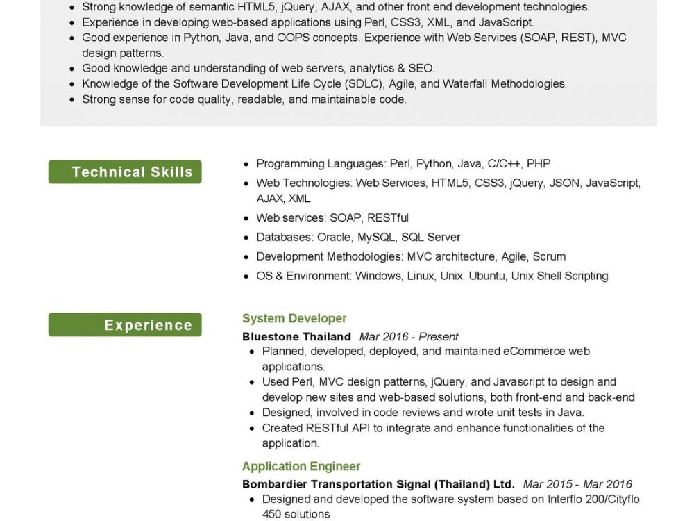 Software Systems Developer CV Example in 2024 - ResumeKraft