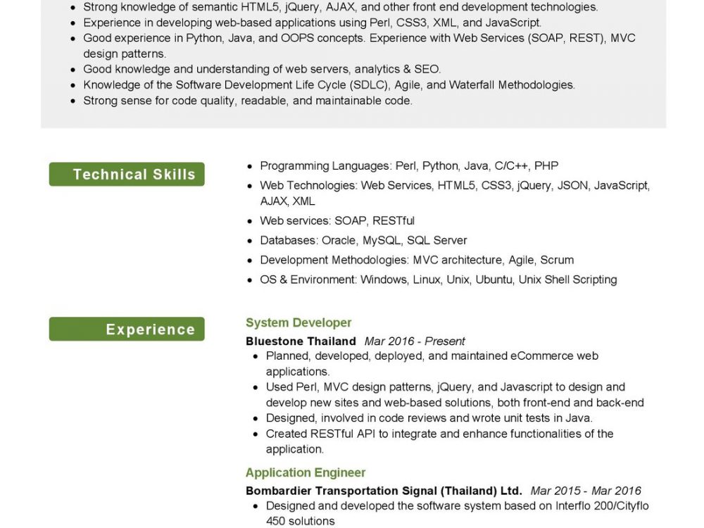 Software Systems Developer CV Sample