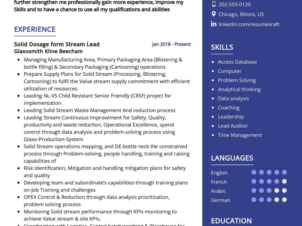 Solid Stream Lead Resume Example