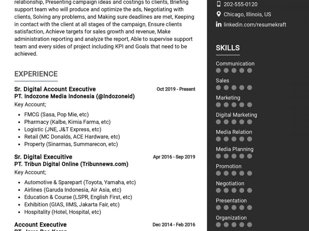 Sr. Digital Executive Resume Sample in 2024 ResumeKraft