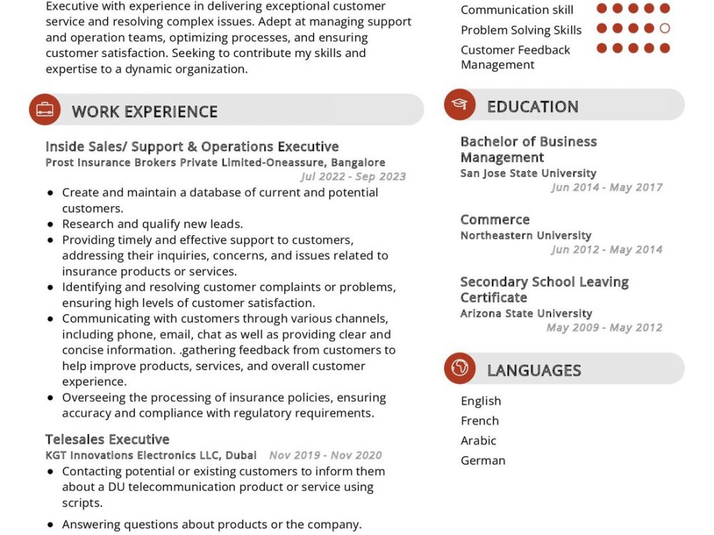 Support and Operations Executive Resume Example