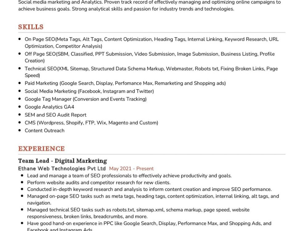 Team Lead - Digital Marketing Cv Sample In 2024 - Resumekraft