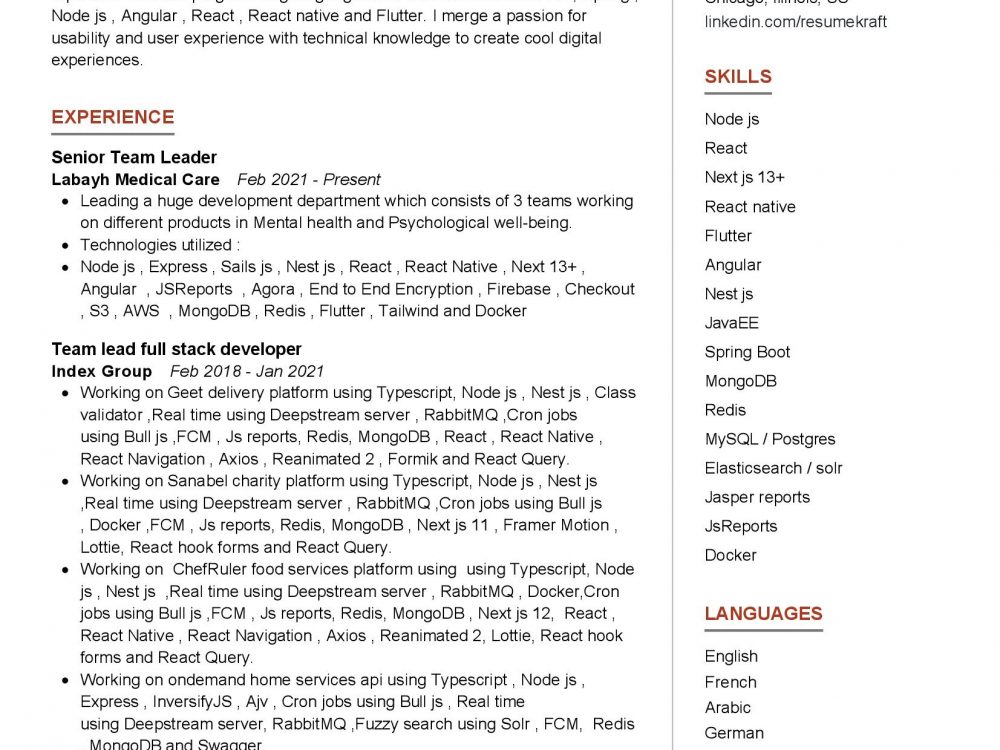 Team Lead Full stack developer Resume Example