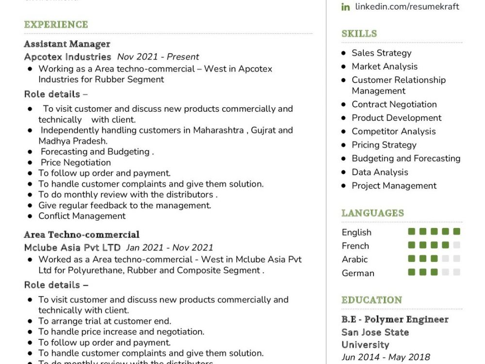 Techno Commercial Resume Example