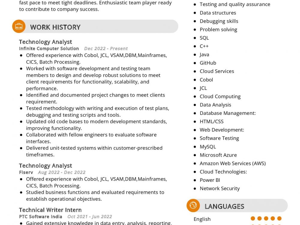 Technology Analyst Resume Sample