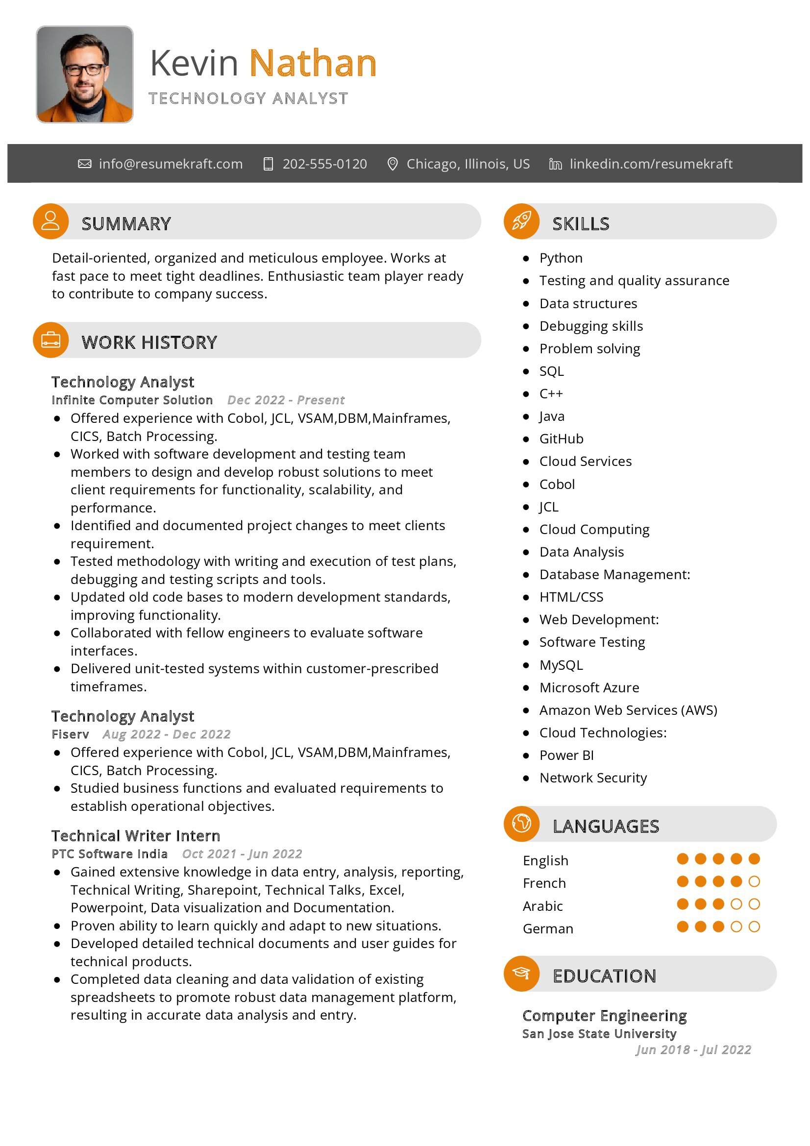 Technology Analyst Resume Sample