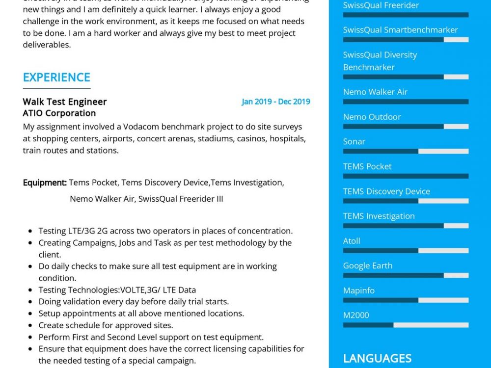 Telecommunications Professional Resume Sample