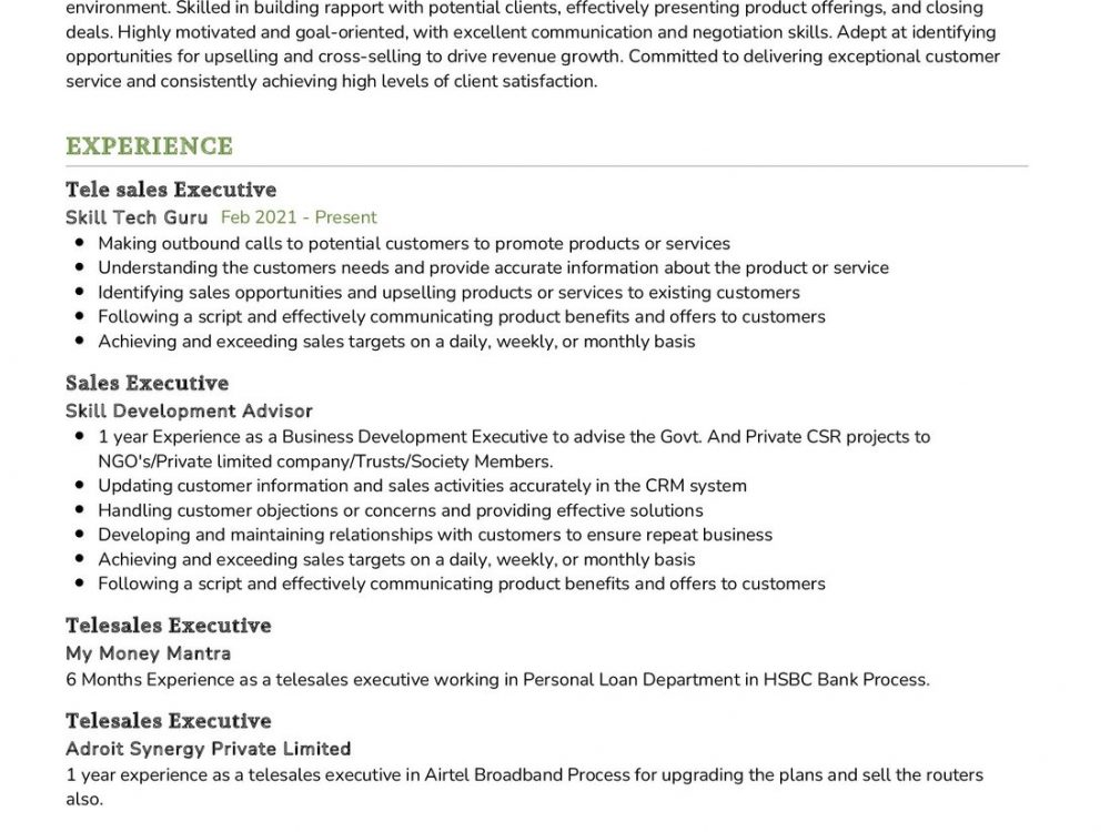 Telesales Executive CV Example