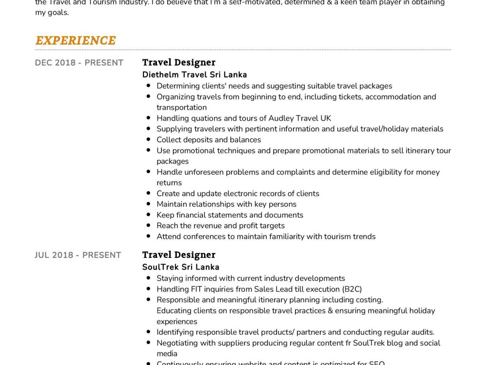 Travel designer Resume Example