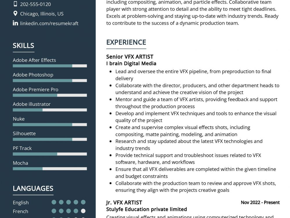 Vfx Artist Resume Example In 2024 Resumekraft Vrogue Co   VFX ARTIST Resume Example 1000x750 