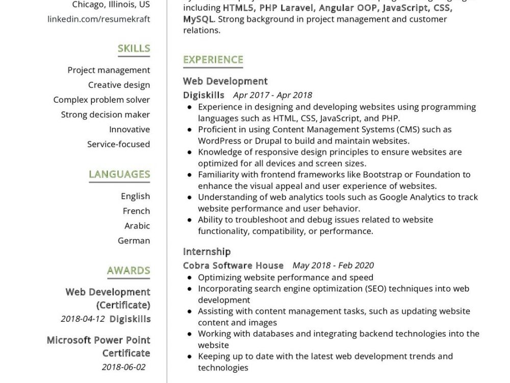 Web Developer CV Example