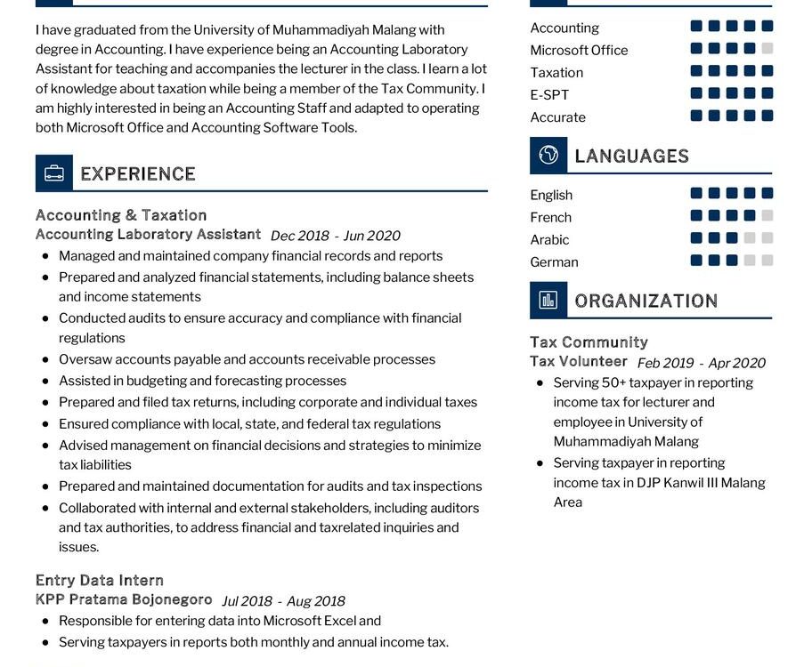 Accounting & Taxation CV Sample