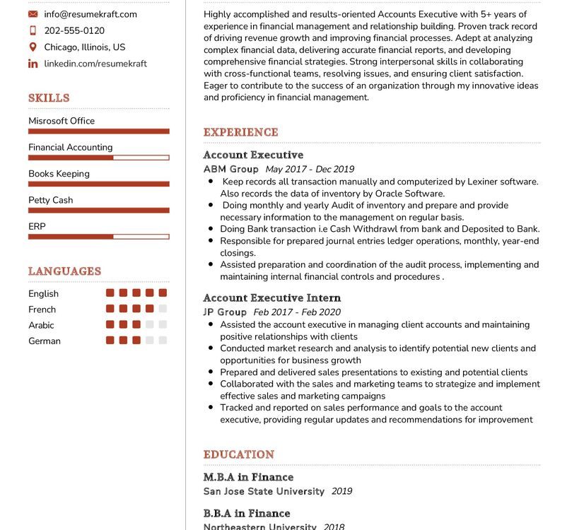 Accounts Executive CV Sample in 2024 - ResumeKraft