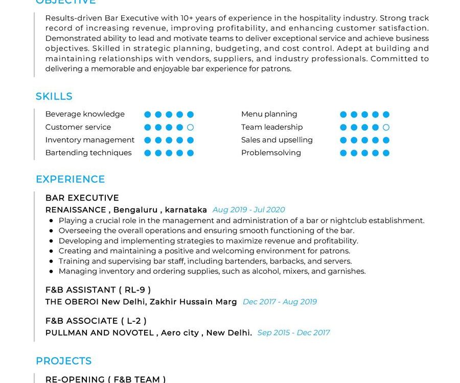 Bar Executive CV Example In 2024 ResumeKraft   Bar Executive CV Example 900x750 