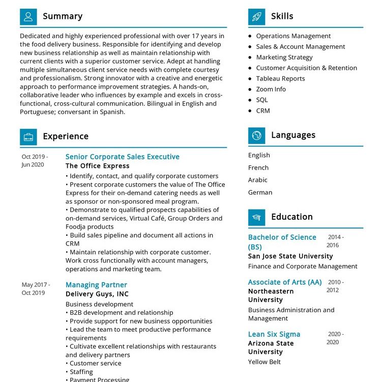 Business Development CV Sample in 2024 - ResumeKraft