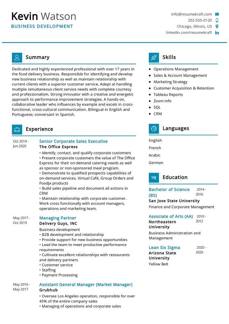 Business Development CV Sample in 2024 - ResumeKraft