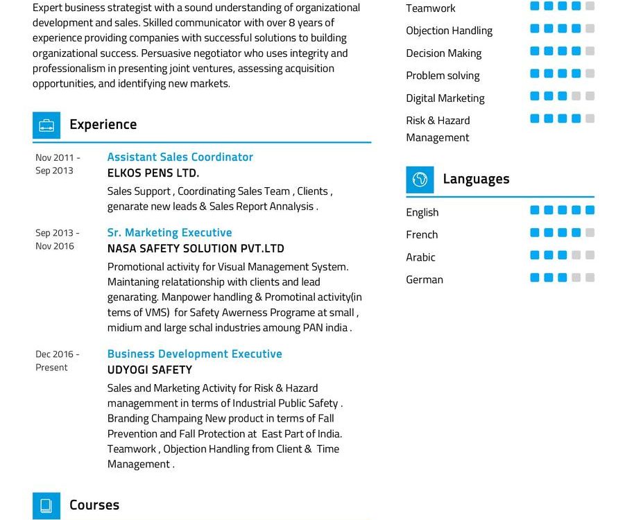 Business Development - Sales CV Sample