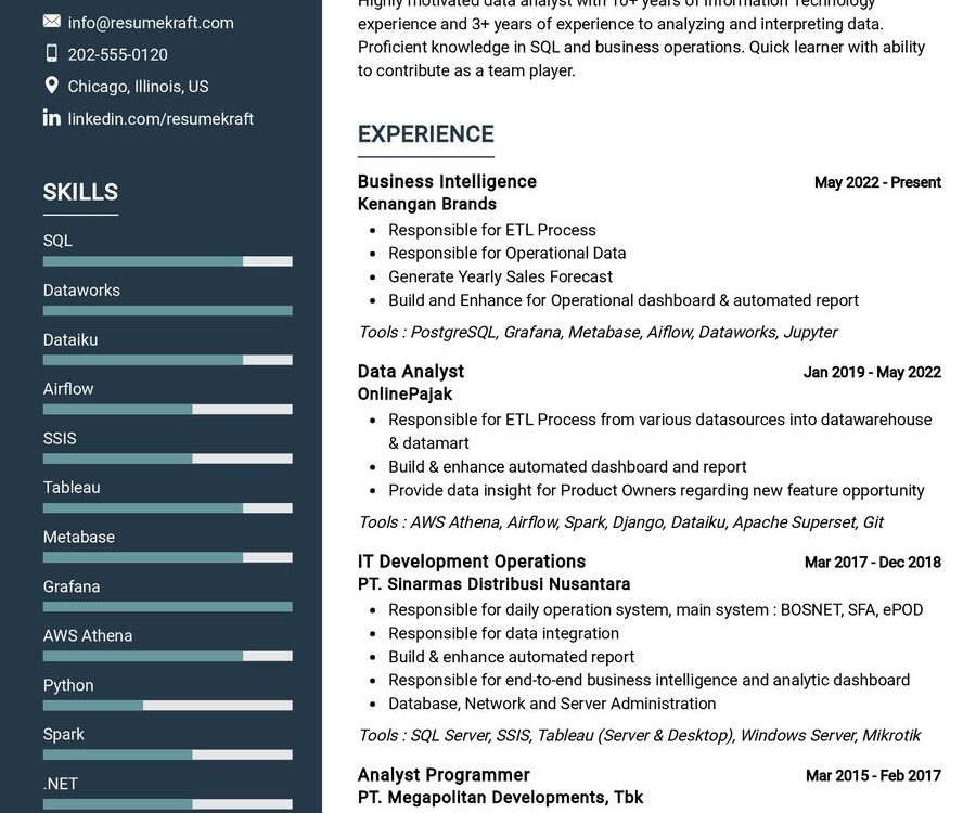 Business Intelligence CV Example