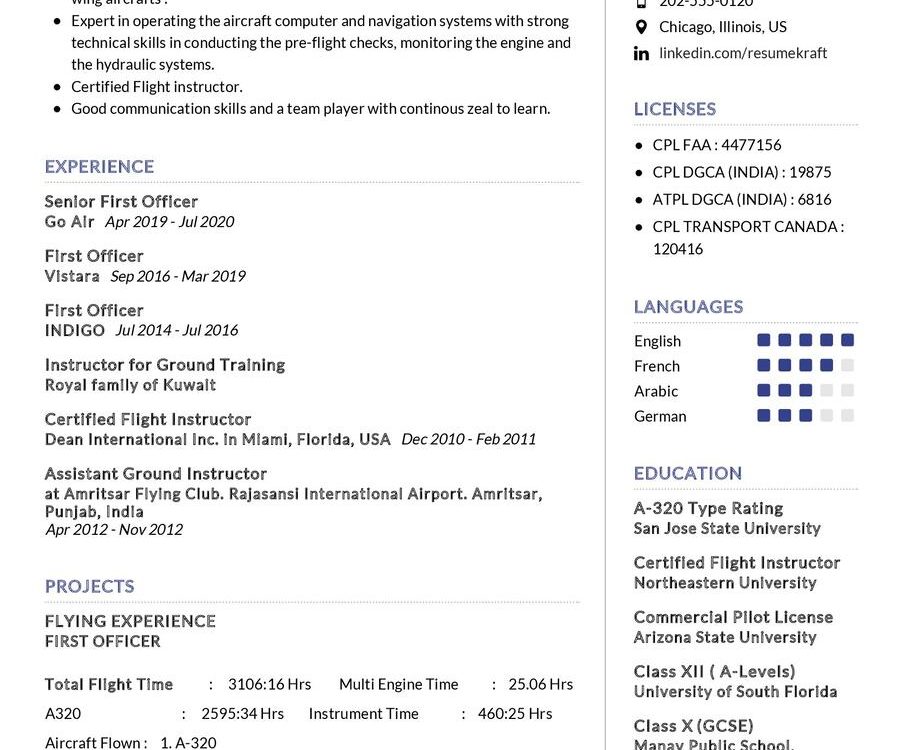 Commercial Pilot CV Sample