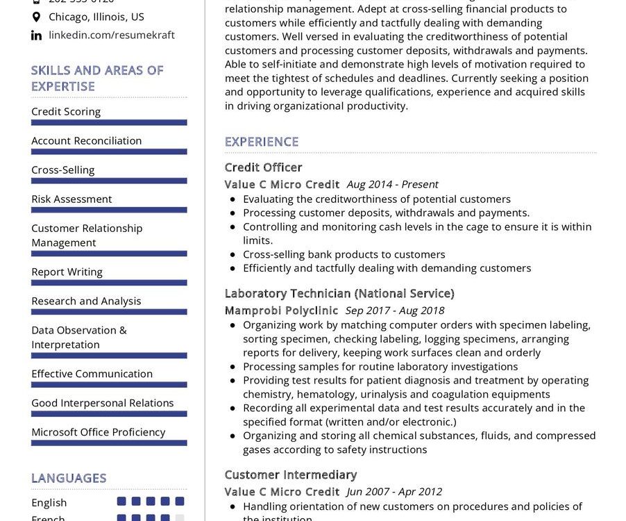 Credit Manager Cv Example In 2024 Resumekraft 3345