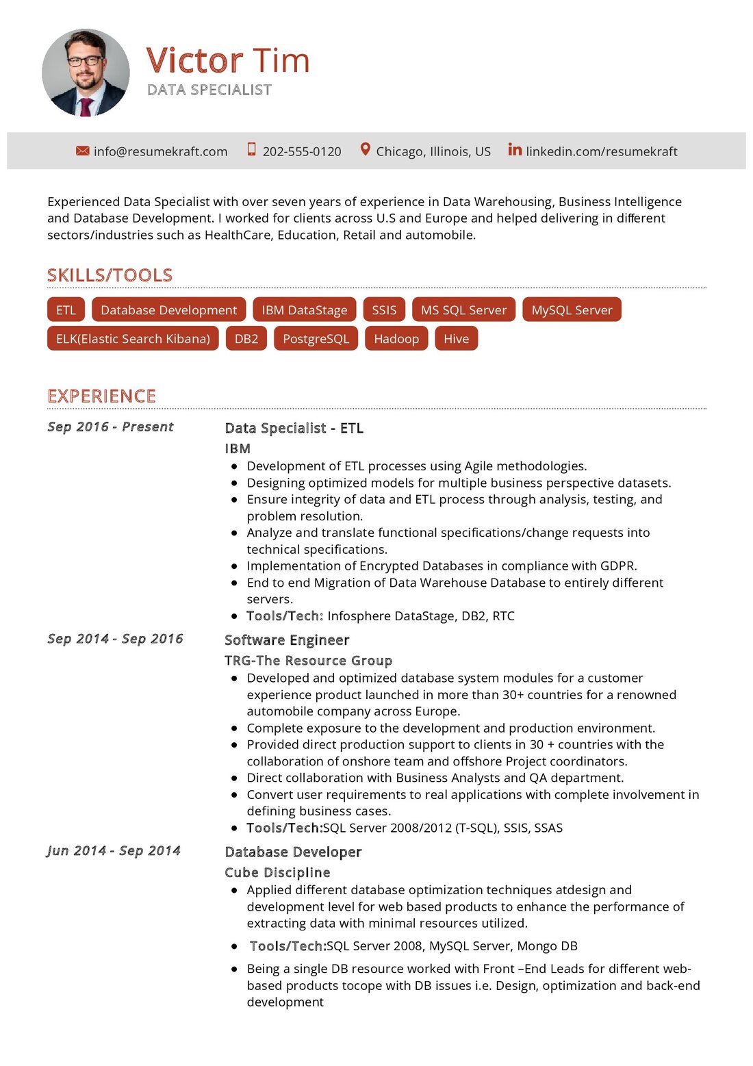 Data Specialist CV Example in 2024 - ResumeKraft