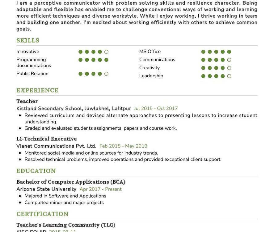 Determinant & Diligent CV Sample