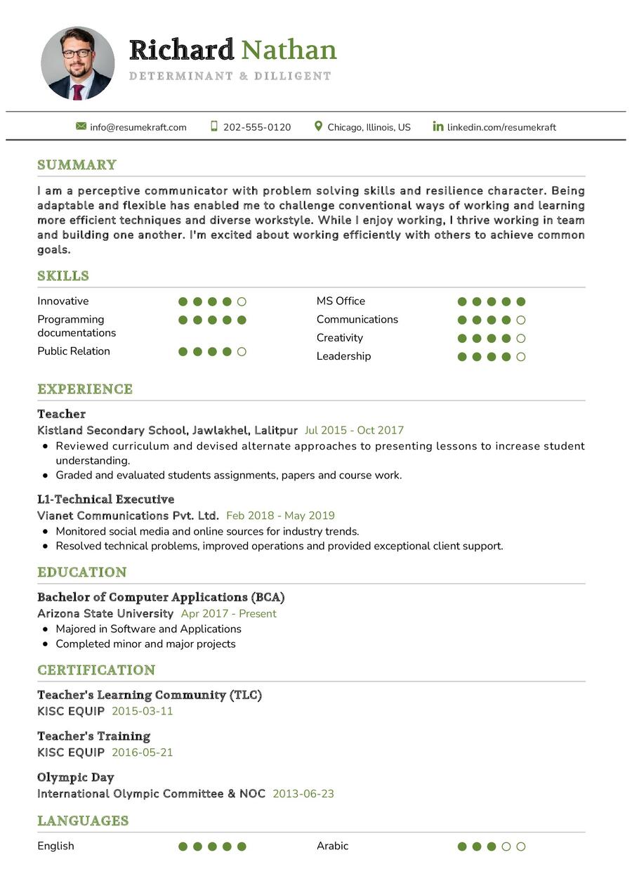 Determinant & Diligent CV Sample in 2024 - ResumeKraft