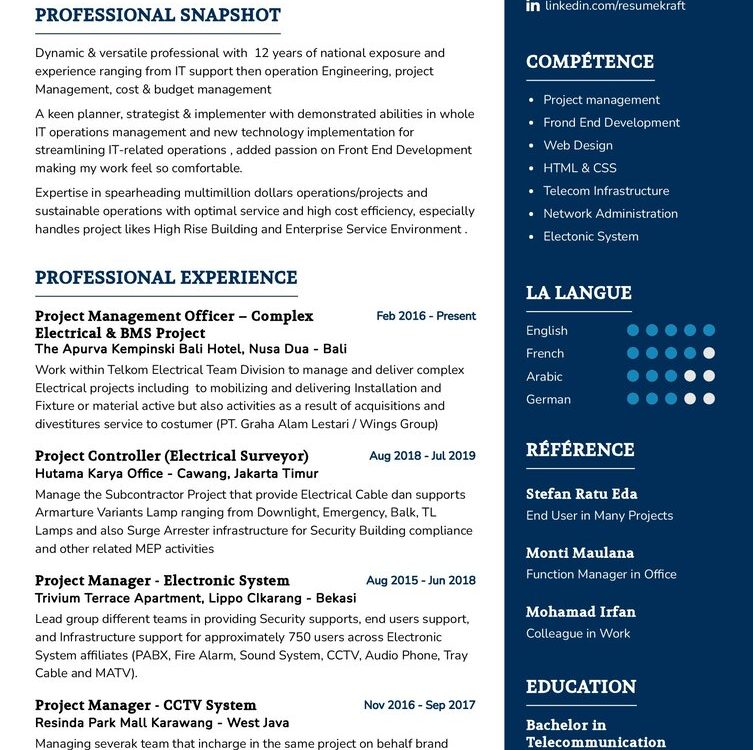 Enterprise Project Manager CV Example