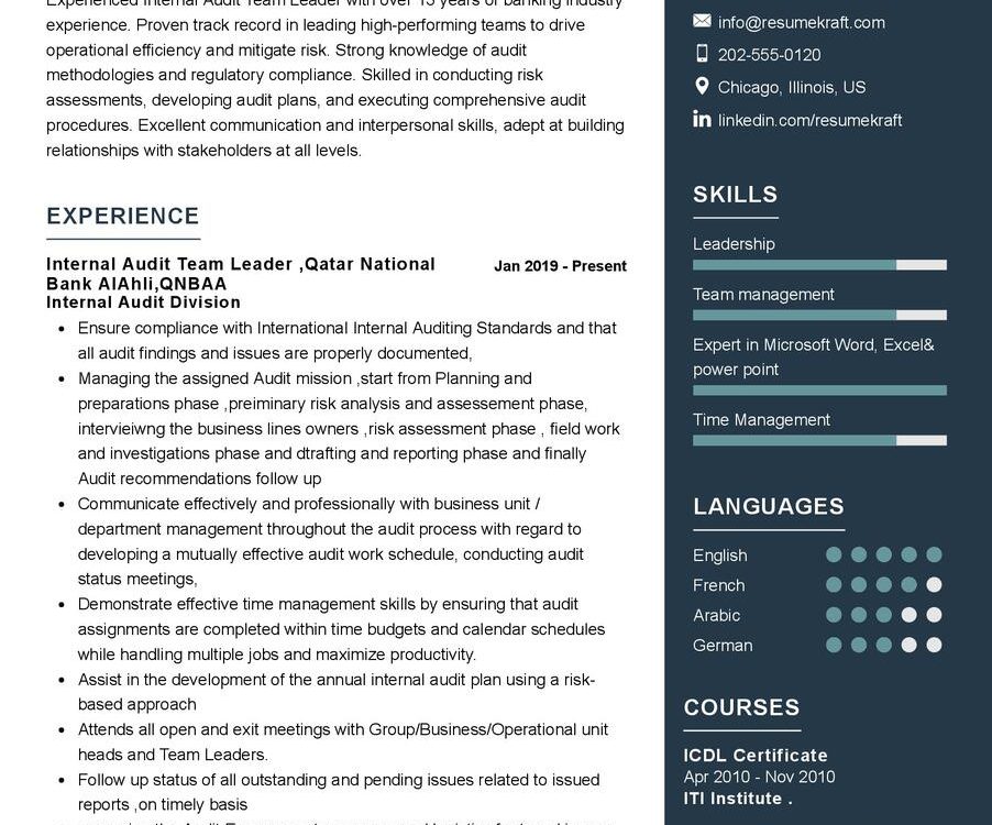 Internal Audit Team Leader CV Sample