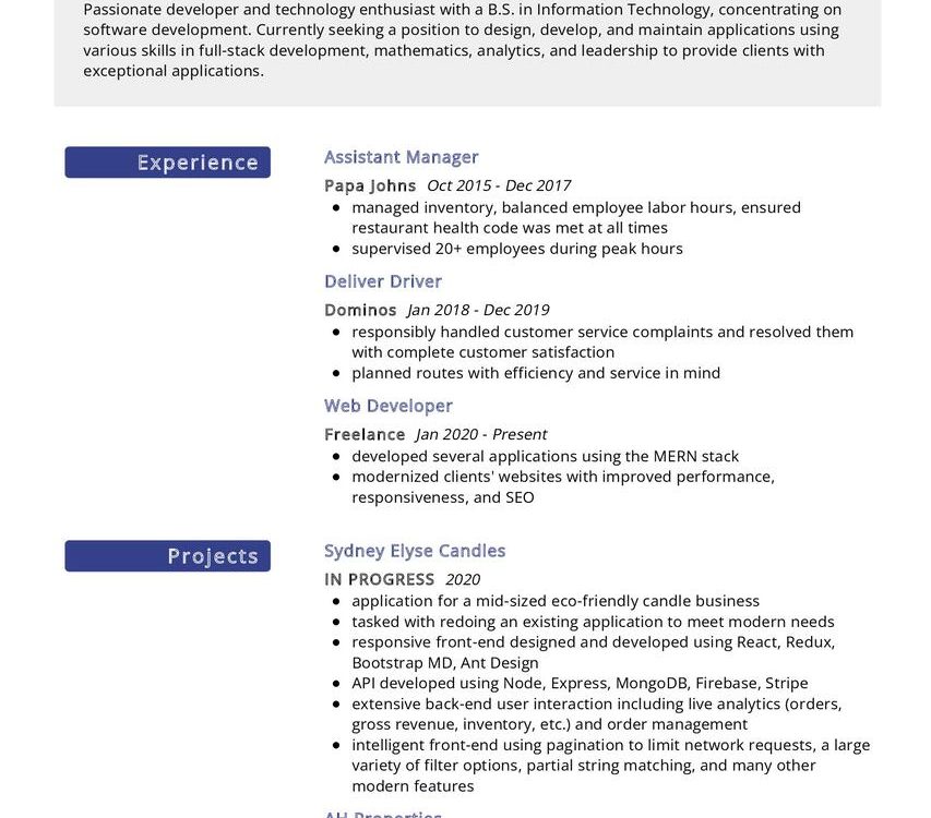 Mobile App Developer CV Example