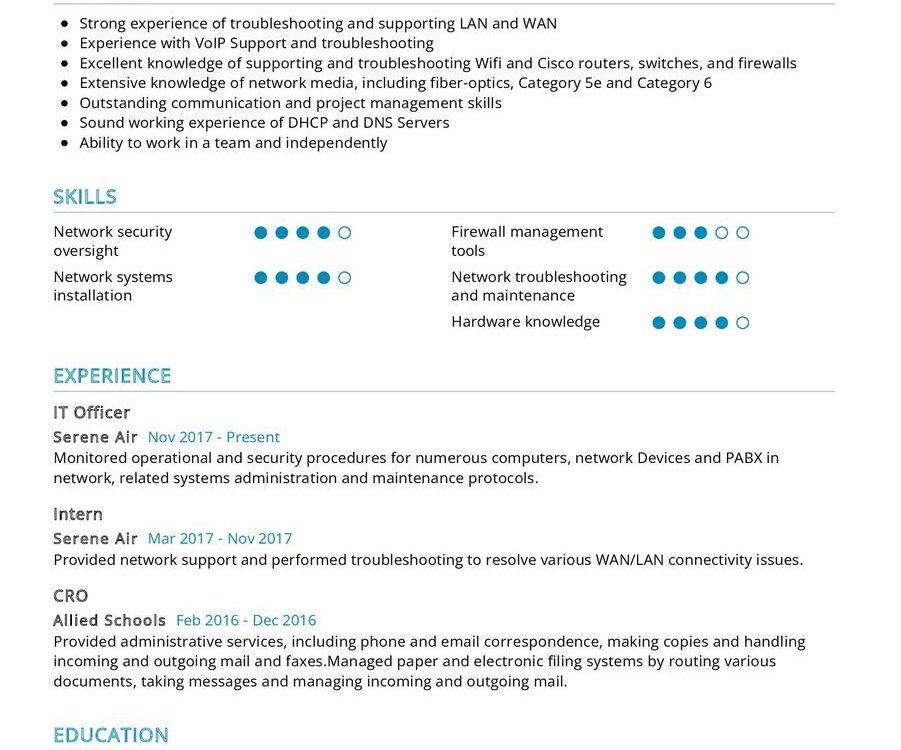 Network Support Assistant CV Sample in 2024 - ResumeKraft