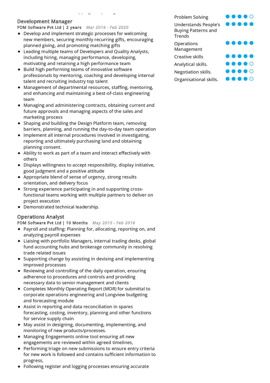 Relationship Manager CV Example in 2024 - ResumeKraft