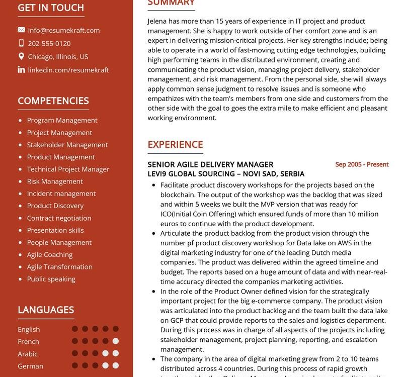 Senior Agile Delivery Manager CV Sample