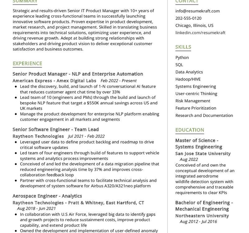 Senior IT Product Manager CV Sample