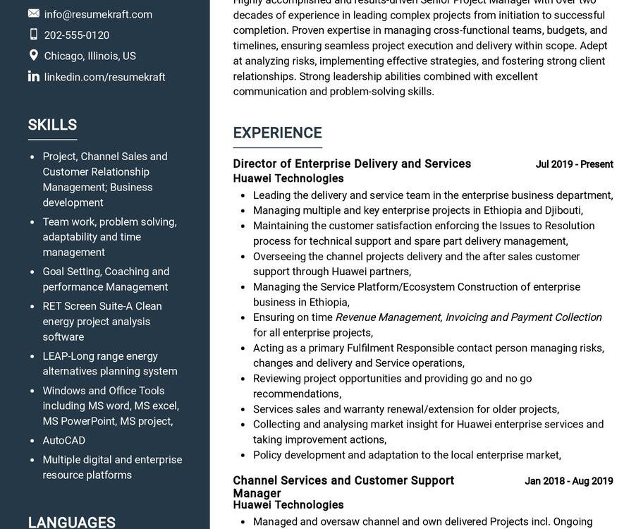 Senior Project Manager CV Example