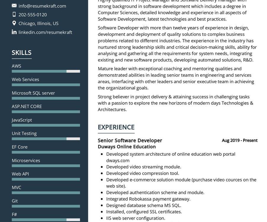 Senior Software Developer CV Sample