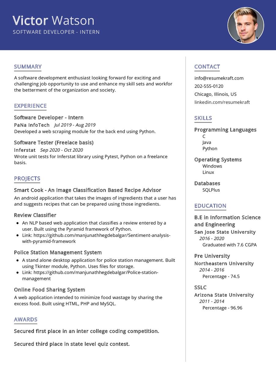 Software Developer - Intern CV Sample in 2024 - ResumeKraft