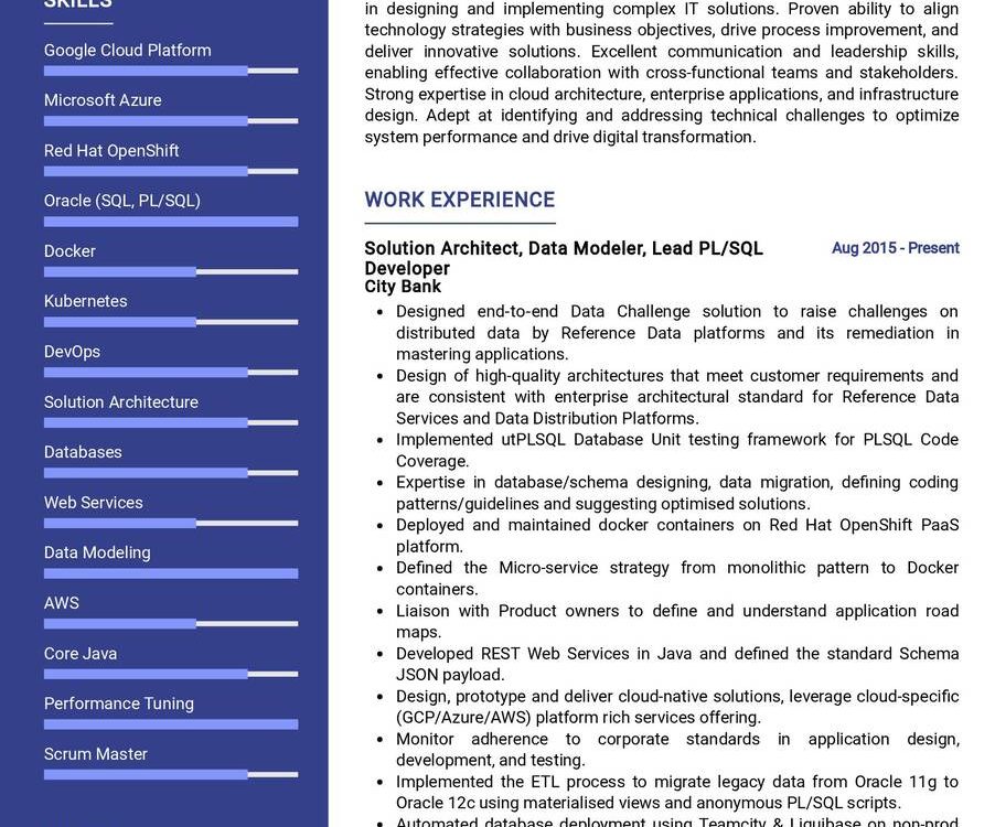 Solution Architect CV Example In 2024 - ResumeKraft